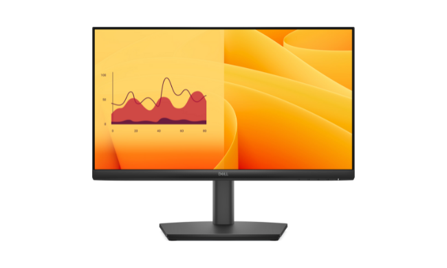 Dell Pro 22 Adjustable Stand Monitor - LOCKINPRICE